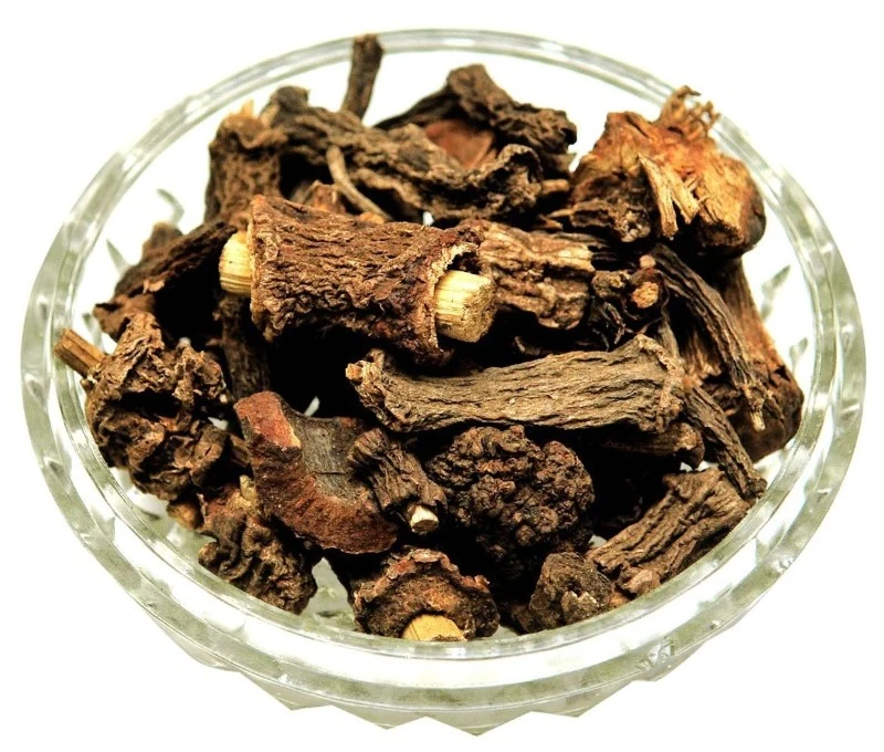 Sarsaparilla root Sarsaparilla root