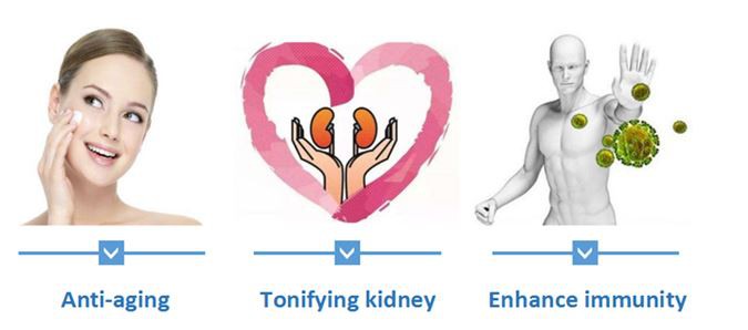 Morinda Officinalis extract function