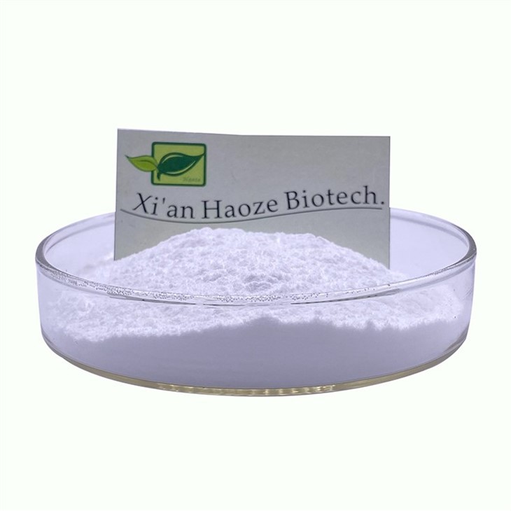 Cholestyramine Powder Bulk