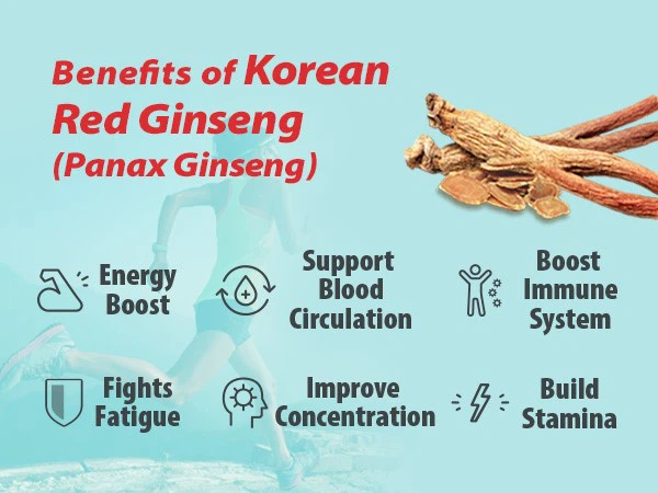korean red ginseng 2 korean red ginseng 2